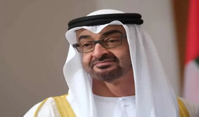 Saudi youth enters hotel to meet UAE President