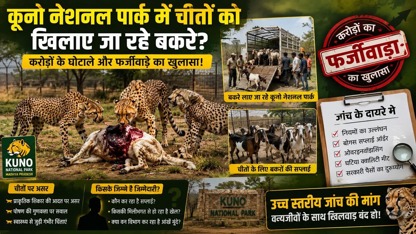 kuno national park bakra ghotala